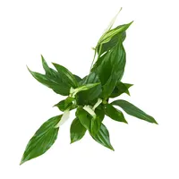 Разыгрываем стильные призы!