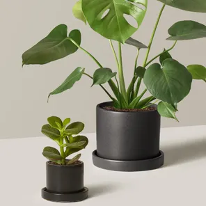 Подарочный комплект